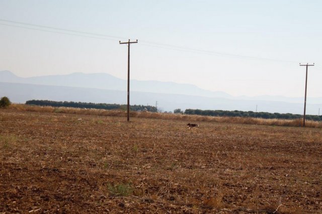 Αγωνες Α.Κ.Ι 18/6/2017